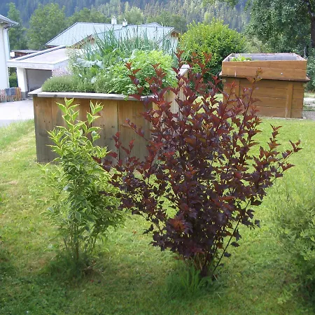招待所 Haus Brigitte - Preise Inclusive Pitztal Sommer Card