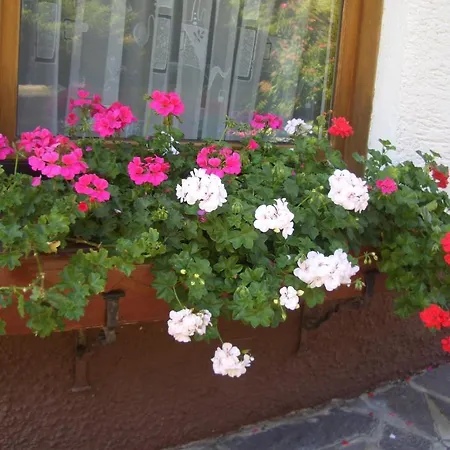 Penzion Haus Brigitte - Preise Inclusive Pitztal Sommer Card 3*