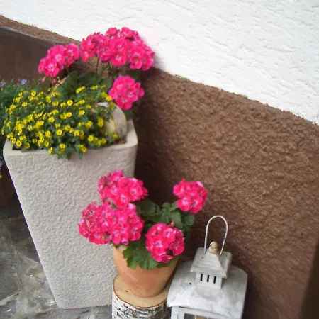 Haus Brigitte - Preise Inclusive Pitztal Sommer Card Penzion Jerzens